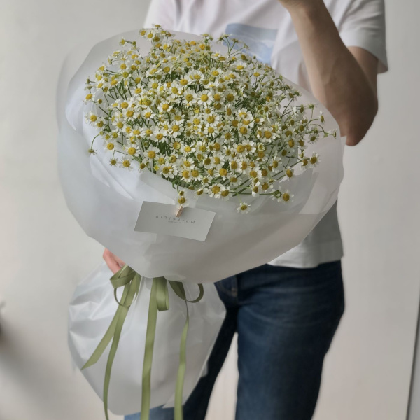 БУКЕТ ИЗ РОМАШЕК МАТРИКАРИЯ